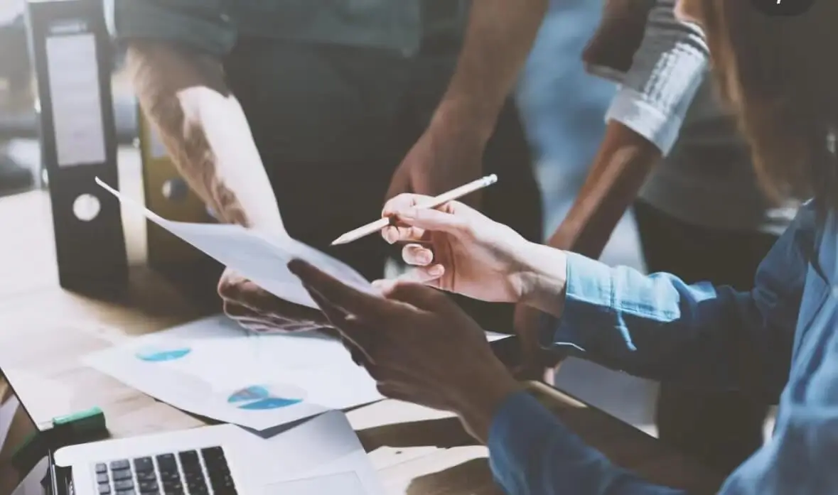 兔肉猪肉哪个贵