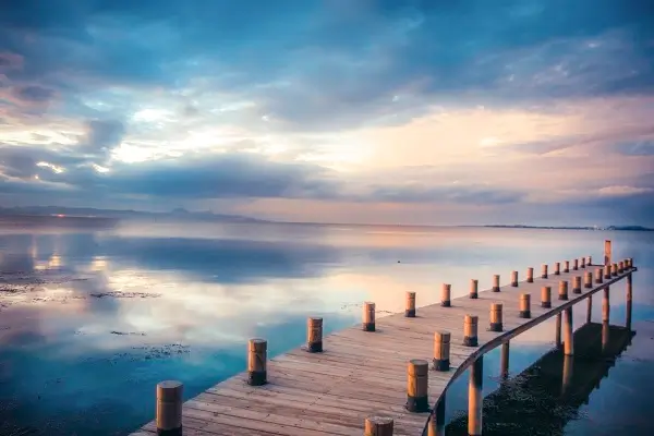 哪个部位的羊肉最美味